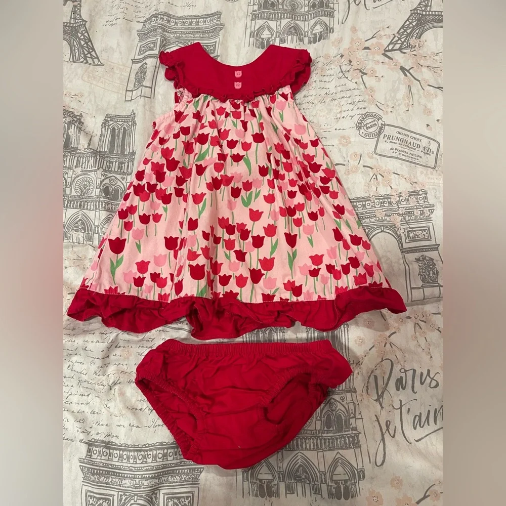 Gymboree 2012 Tulip Dress with bloomers 12-18 mos - Picture 1 of 3